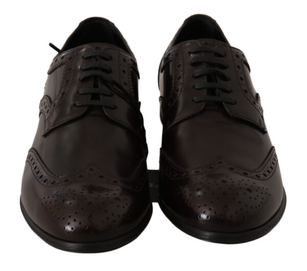 ⁦Dolce & Gabbana Elegant Brown Leather Oxford Flats⁩ – תמונה ⁦2⁩