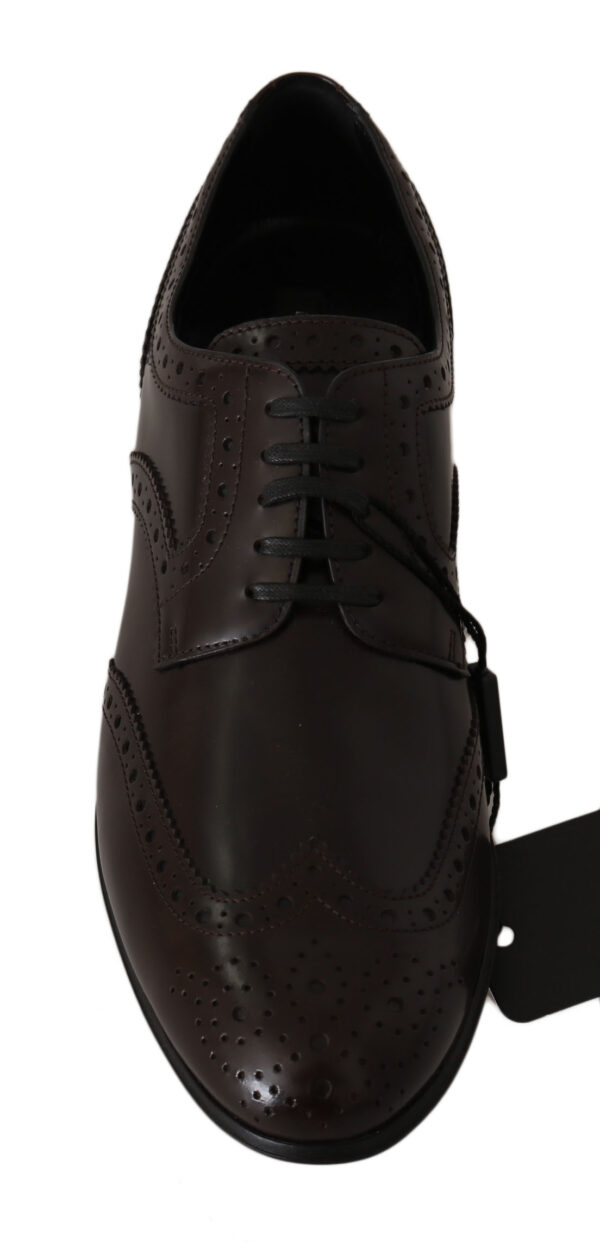 ⁦Dolce & Gabbana Elegant Brown Leather Oxford Flats⁩ – תמונה ⁦7⁩